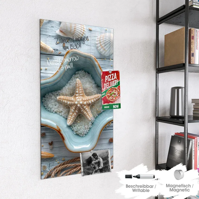 Magnettafel - Seesterne und Muscheln