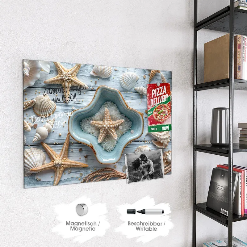 Magnettafel - Seesterne und Muscheln