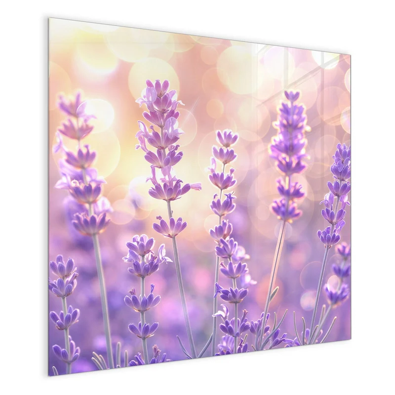 Magnettafel - Lavendel im Gegenlicht
