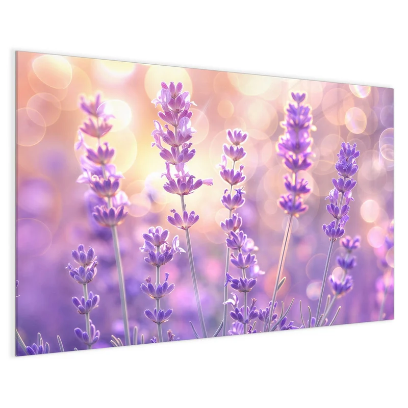 Magnettafel - Lavendel im Gegenlicht