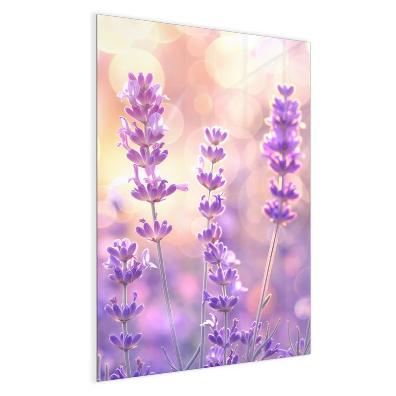 Magnettafel - Lavendel im Gegenlicht
