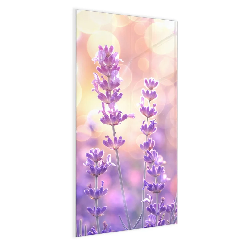 Magnettafel - Lavendel im Gegenlicht