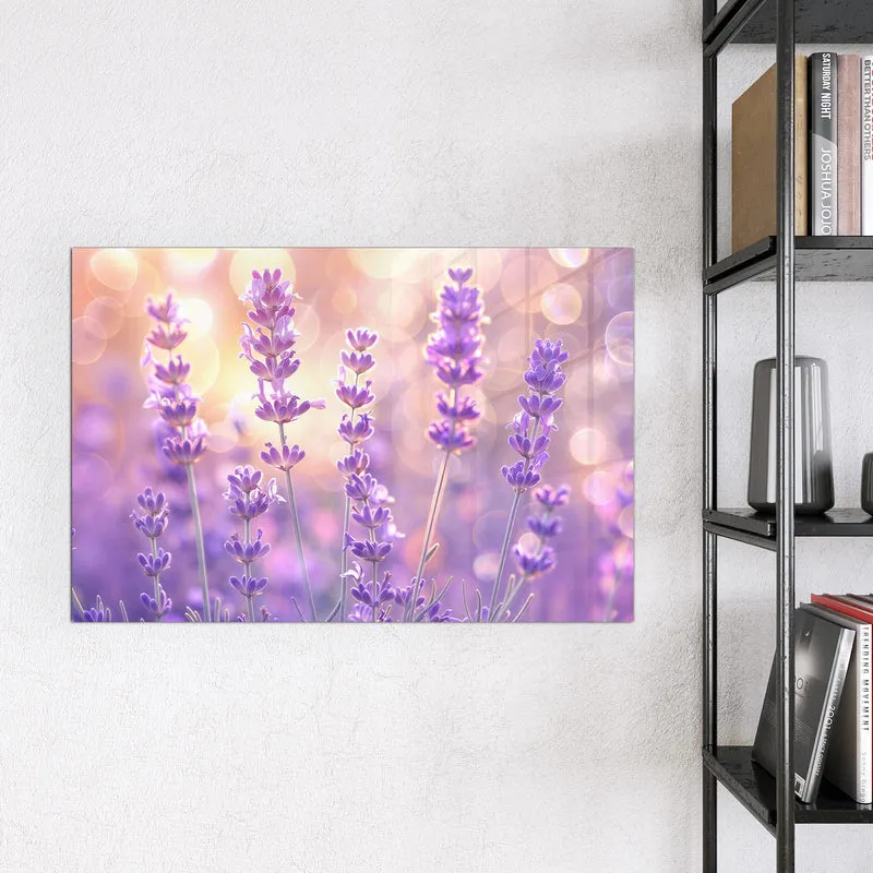 Magnettafel - Lavendel im Gegenlicht