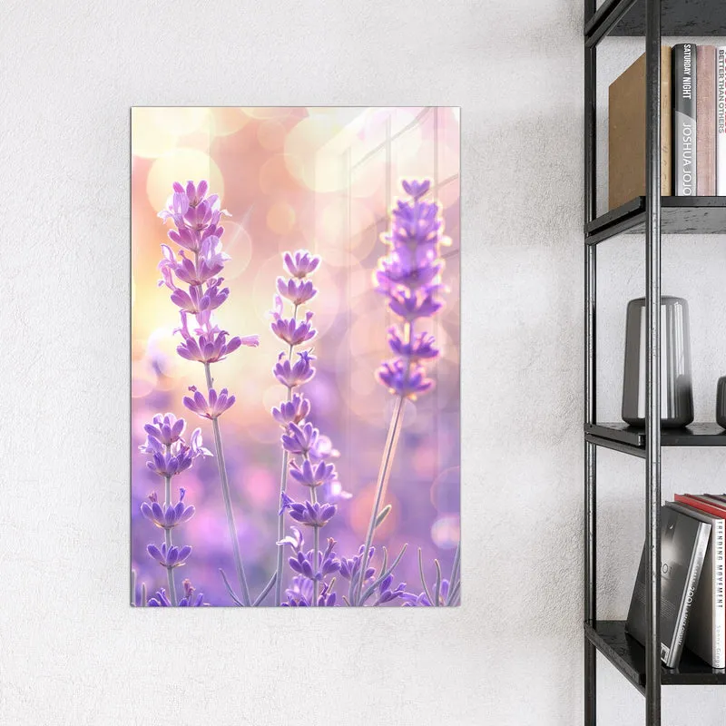 Magnettafel - Lavendel im Gegenlicht