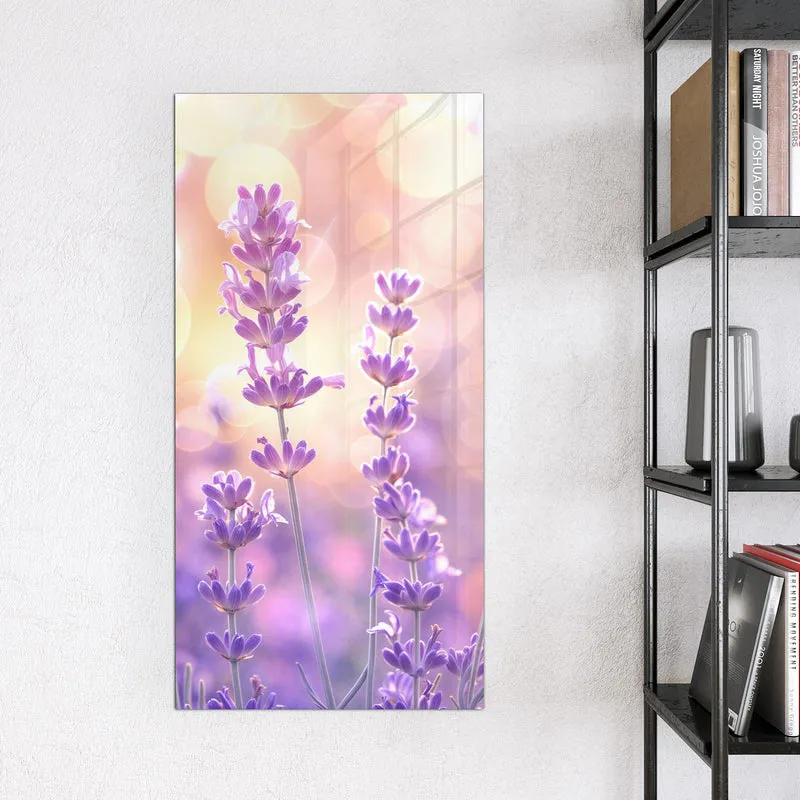 Magnettafel - Lavendel im Gegenlicht