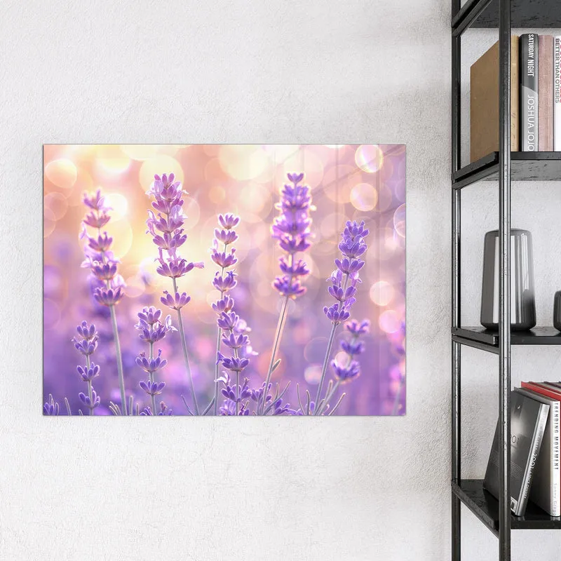 Magnettafel - Lavendel im Gegenlicht