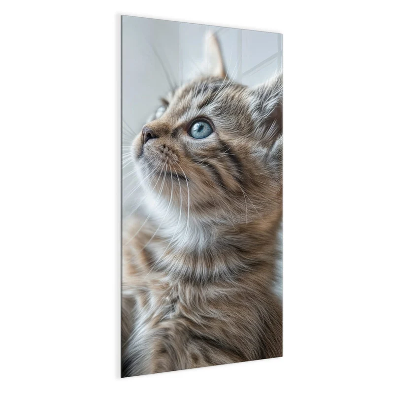 Magnettafel - Getigertes Kätzchen