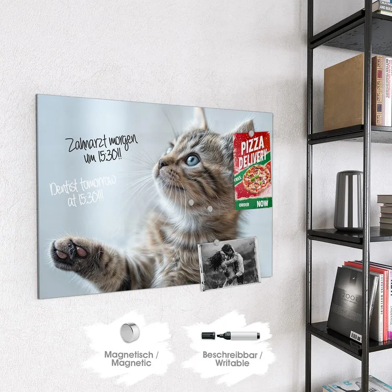 Magnettafel - Getigertes Kätzchen