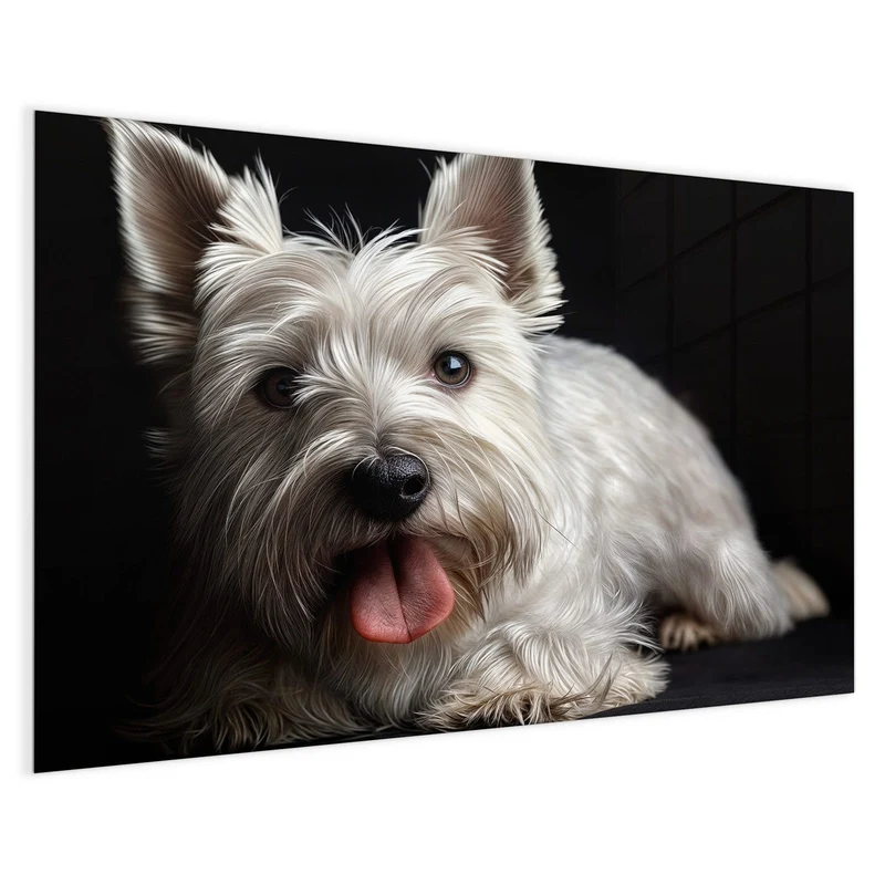 Magnettafel - Weißer Terrier