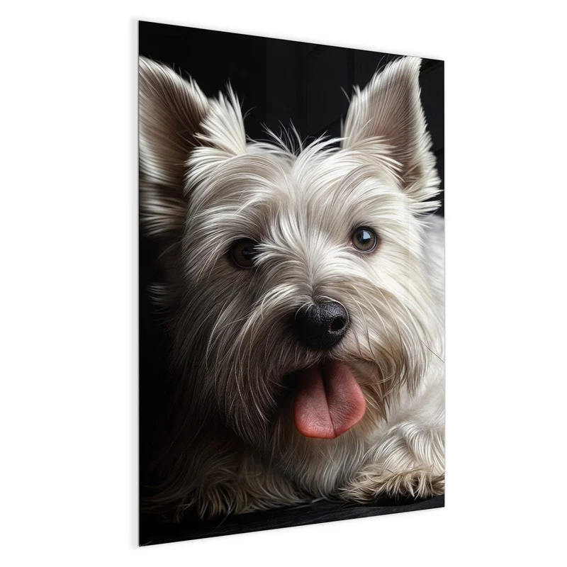 Magnettafel - Weißer Terrier