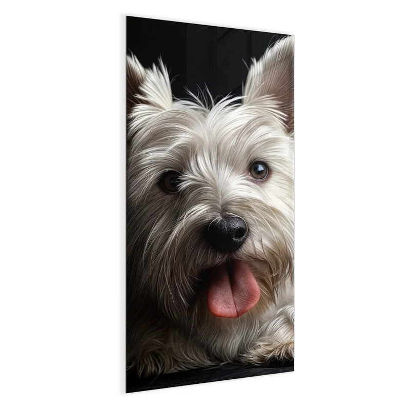 Magnettafel - Weißer Terrier