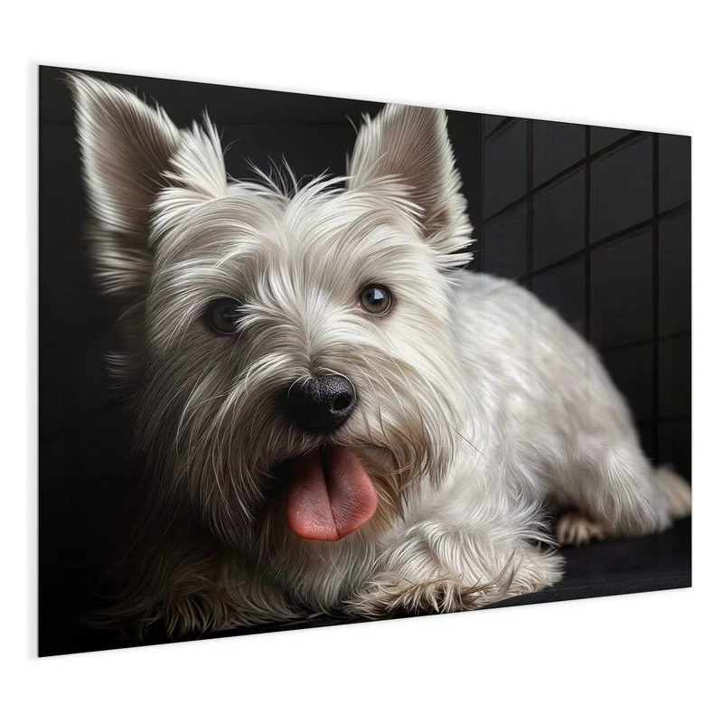 Magnettafel - Weißer Terrier