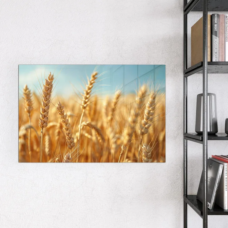Magnettafel - Weizen im Sonnenlicht