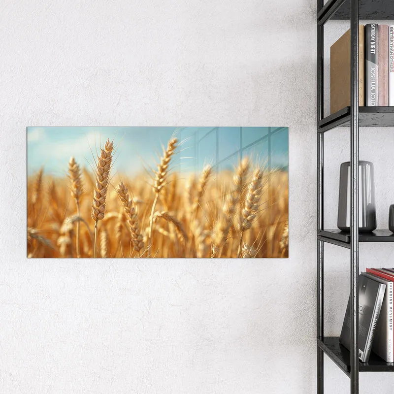Magnettafel - Weizen im Sonnenlicht