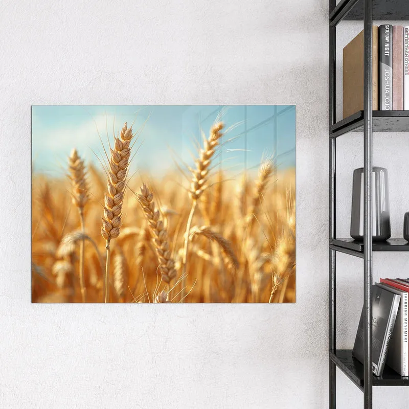 Magnettafel - Weizen im Sonnenlicht