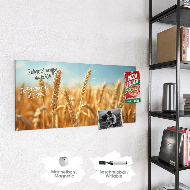 Magnettafel - Weizen im Sonnenlicht