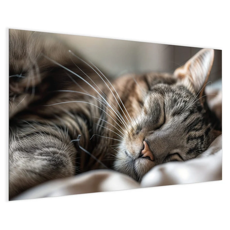 Magnettafel - Schlummernde Katze