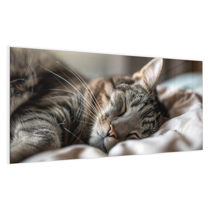 Magnettafel - Schlummernde Katze