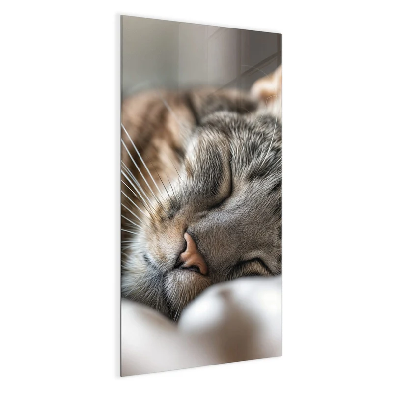 Magnettafel - Schlummernde Katze