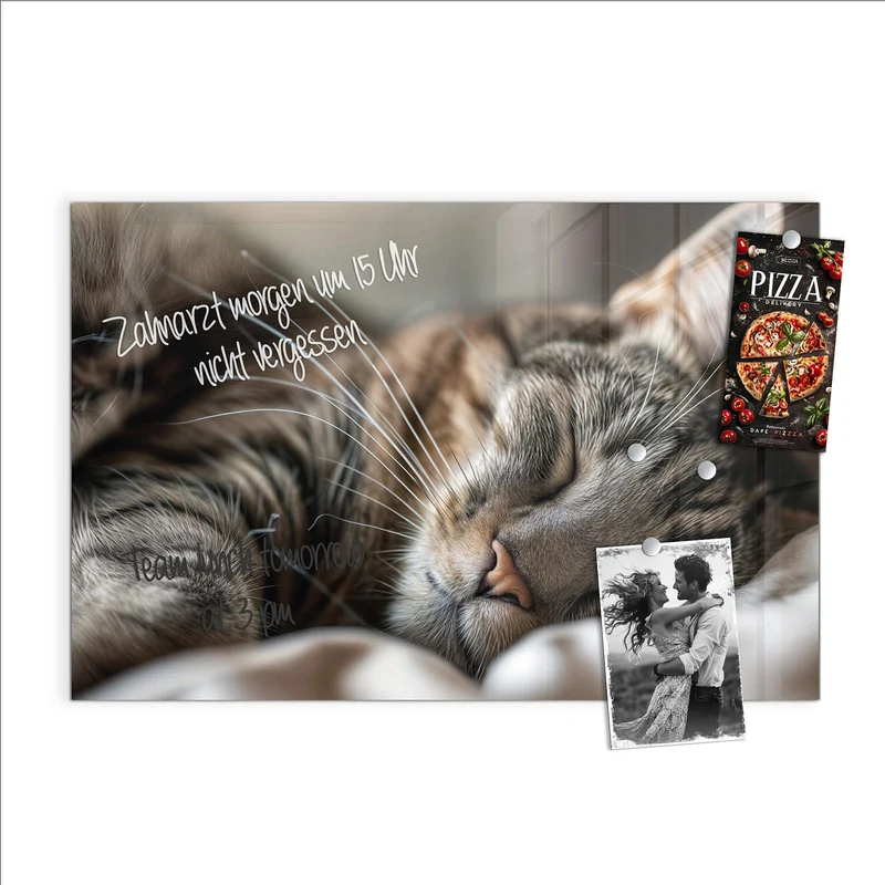 Magnettafel - Schlummernde Katze