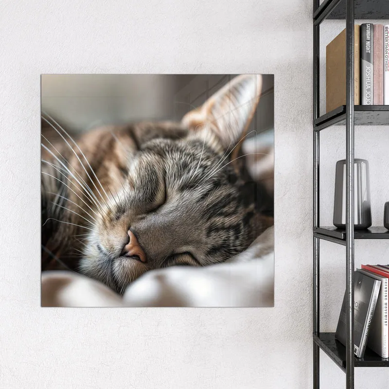 Magnettafel - Schlummernde Katze