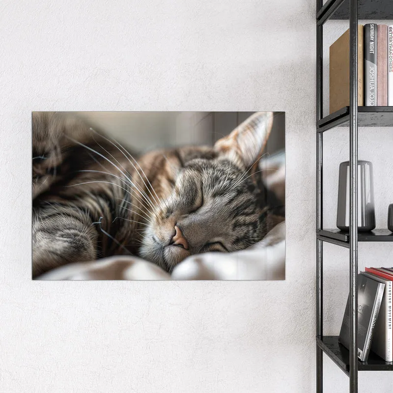 Magnettafel - Schlummernde Katze