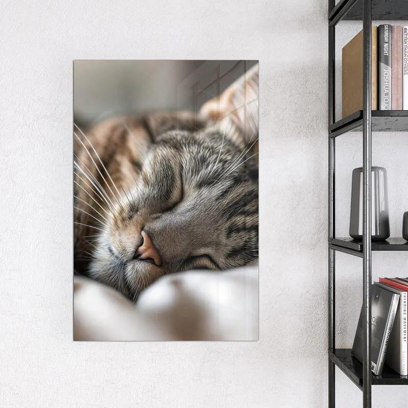 Magnettafel - Schlummernde Katze