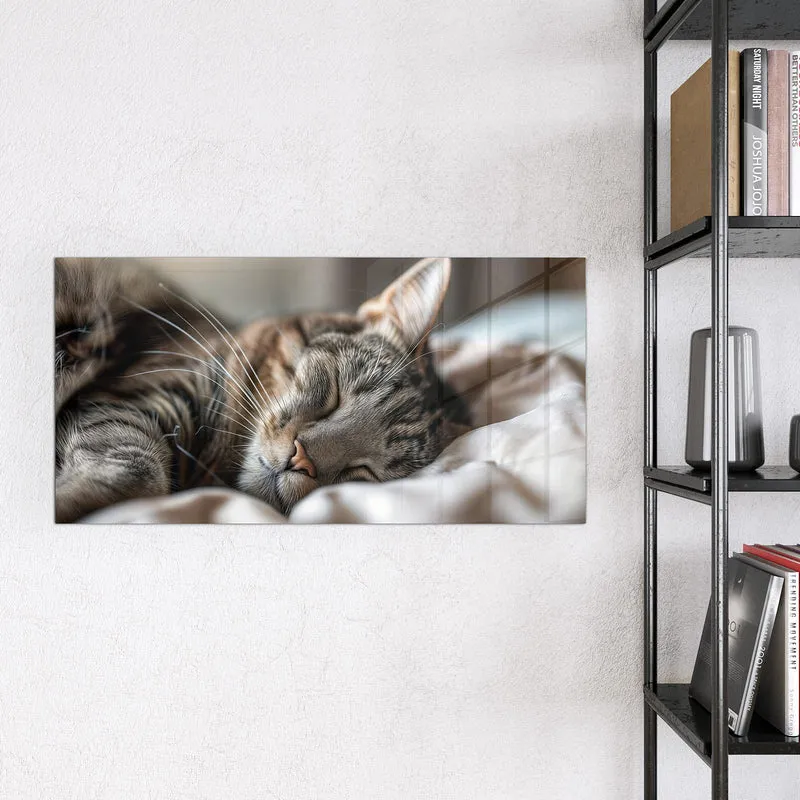 Magnettafel - Schlummernde Katze