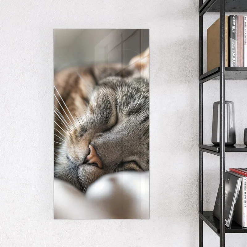 Magnettafel - Schlummernde Katze