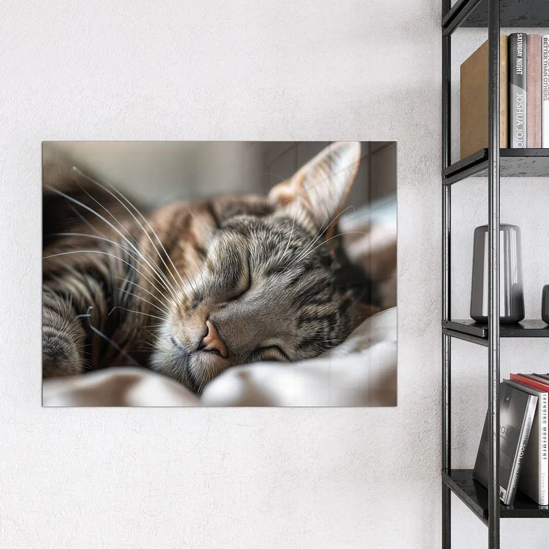 Magnettafel - Schlummernde Katze