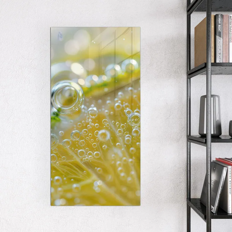 Magnettafel - Zitrone im Sprudel
