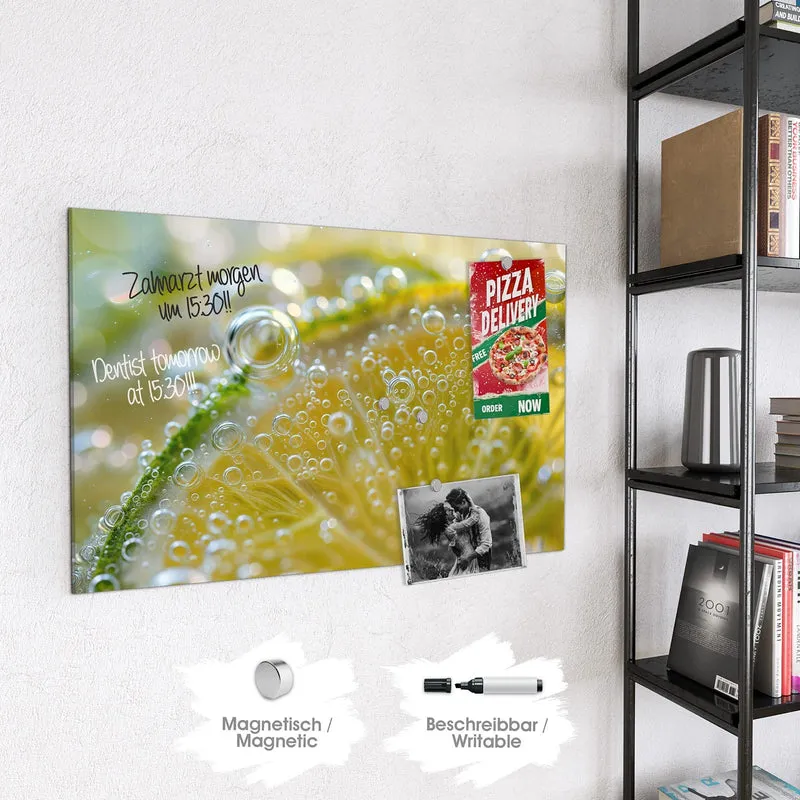Magnettafel - Zitrone im Sprudel
