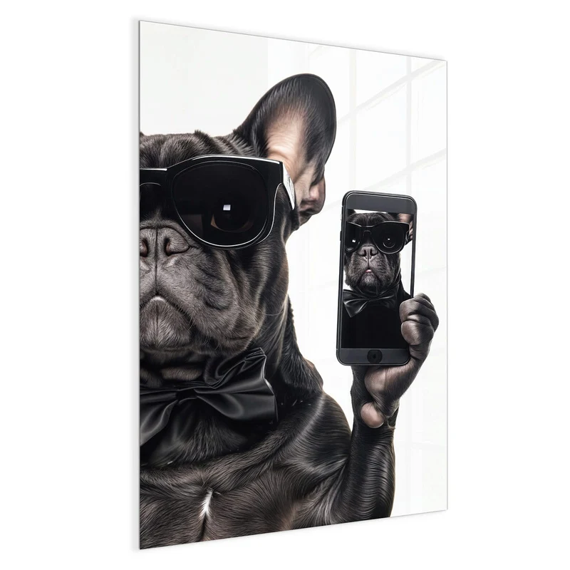Magnettafel - Hund mit Sonnenbrille