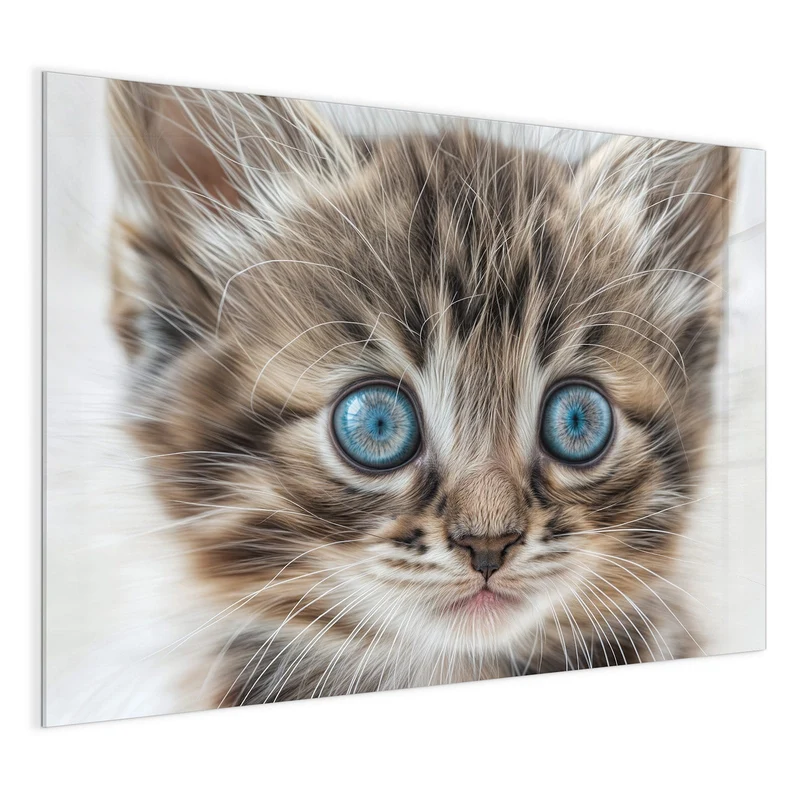 Magnettafel - Blauäugiges Kätzchen