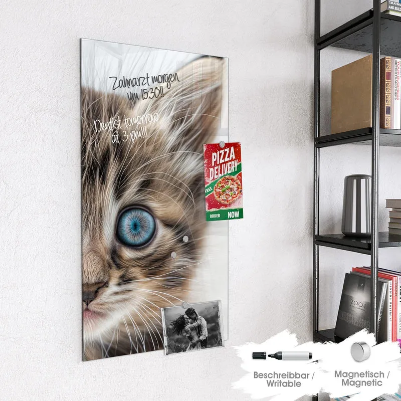 Magnettafel - Blauäugiges Kätzchen