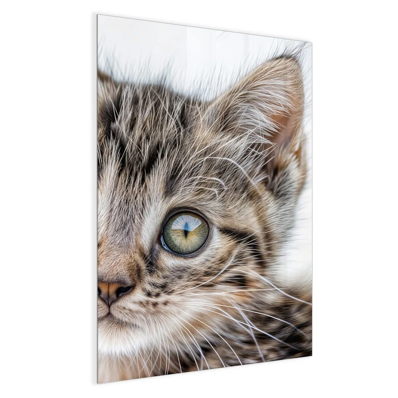 Magnettafel - Neugieriges Katzenjunges