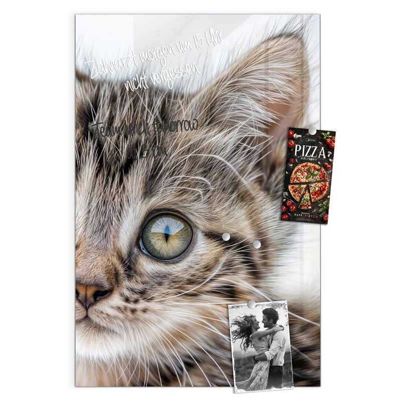 Magnettafel - Neugieriges Katzenjunges