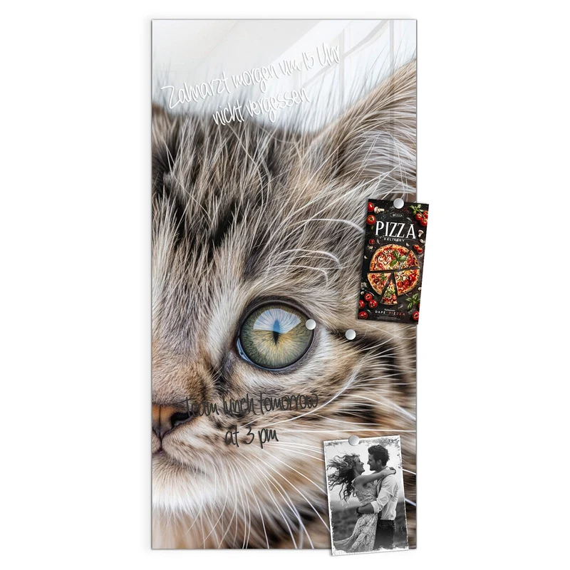 Magnettafel - Neugieriges Katzenjunges