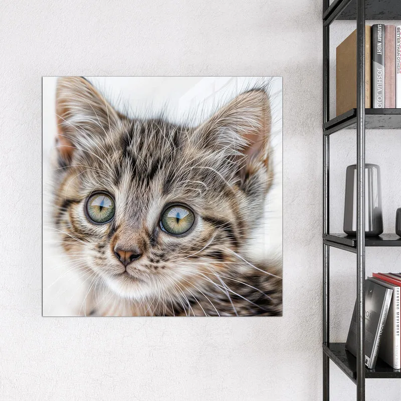 Magnettafel - Neugieriges Katzenjunges