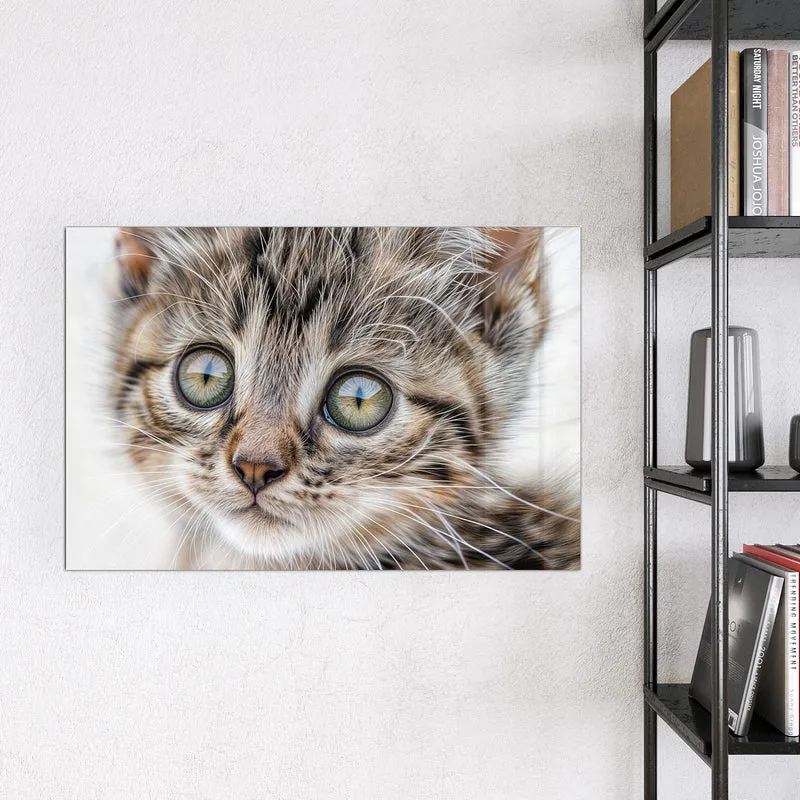 Magnettafel - Neugieriges Katzenjunges