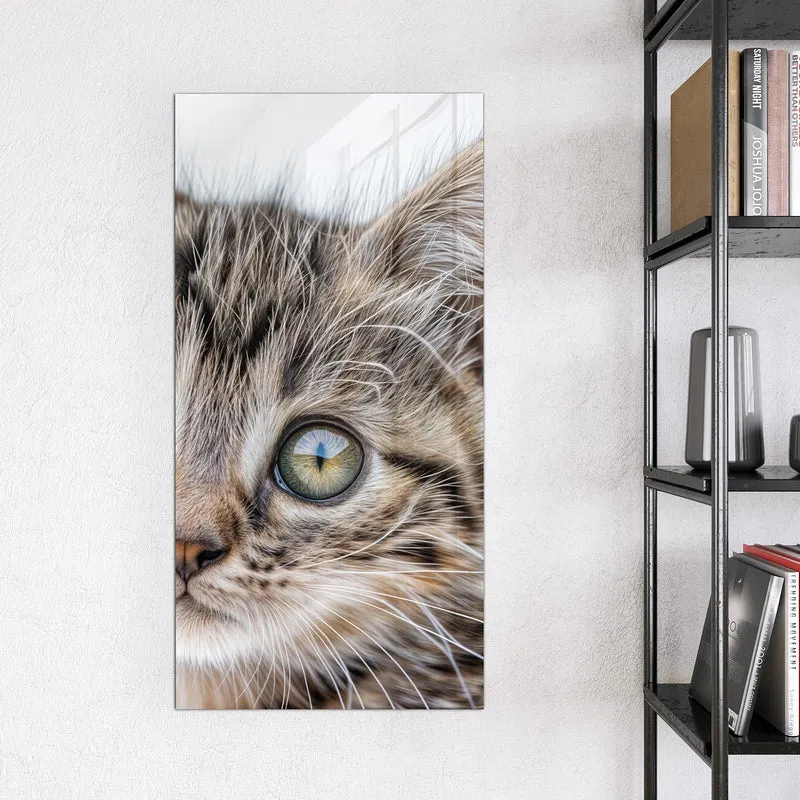 Magnettafel - Neugieriges Katzenjunges