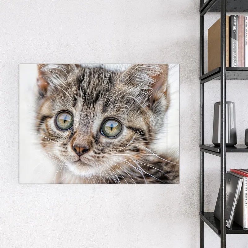 Magnettafel - Neugieriges Katzenjunges
