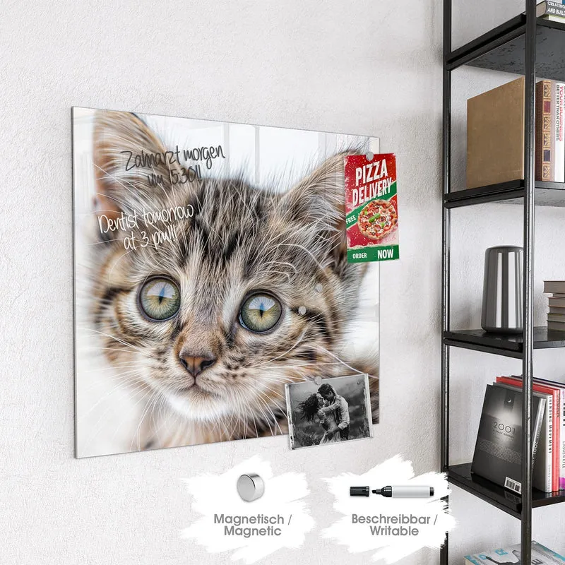 Magnettafel - Neugieriges Katzenjunges