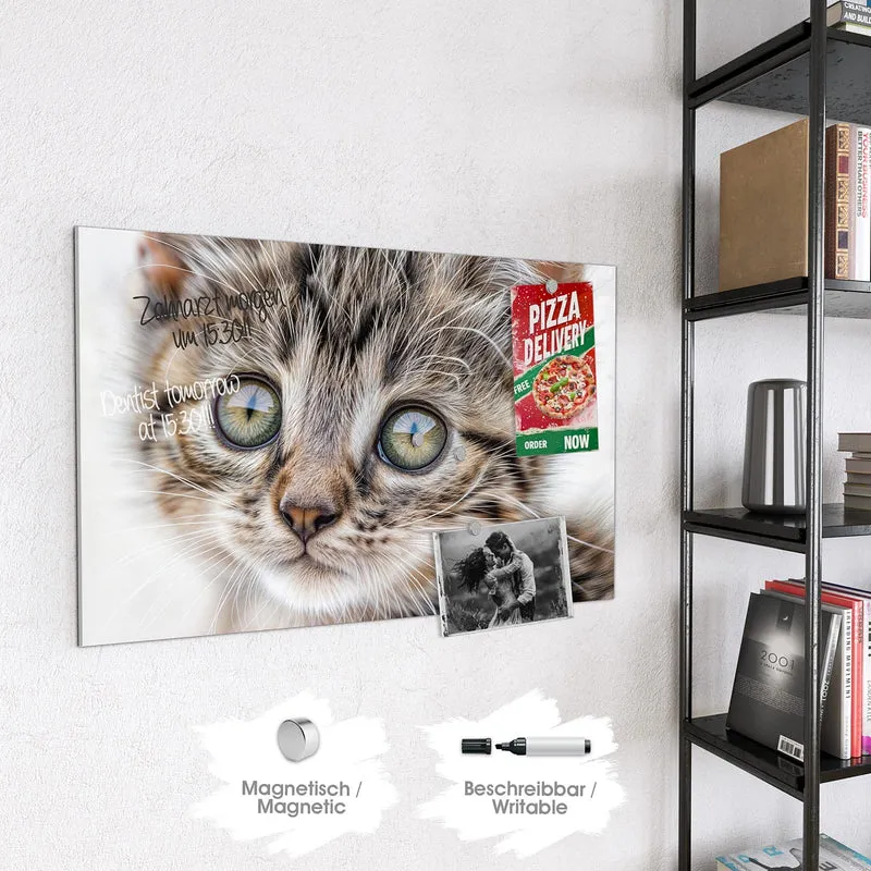 Magnettafel - Neugieriges Katzenjunges