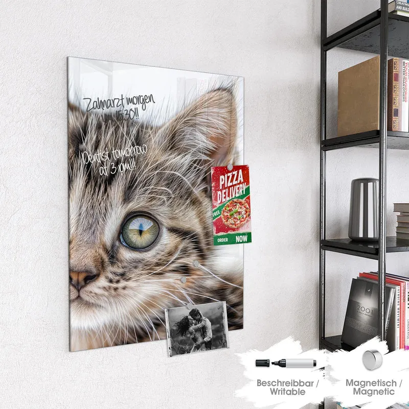 Magnettafel - Neugieriges Katzenjunges
