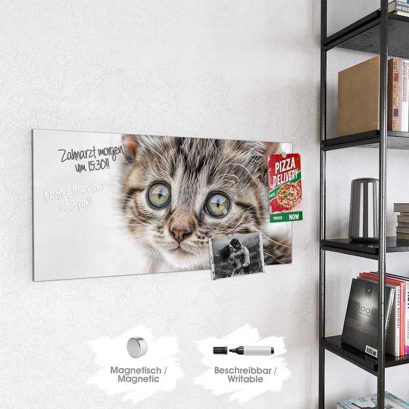 Magnettafel - Neugieriges Katzenjunges
