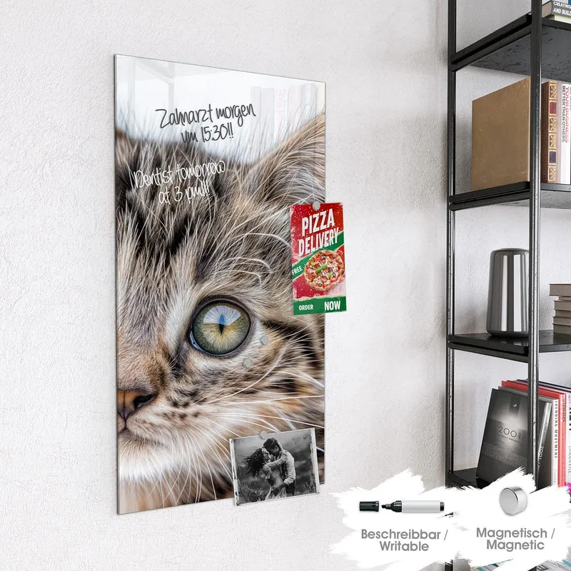 Magnettafel - Neugieriges Katzenjunges