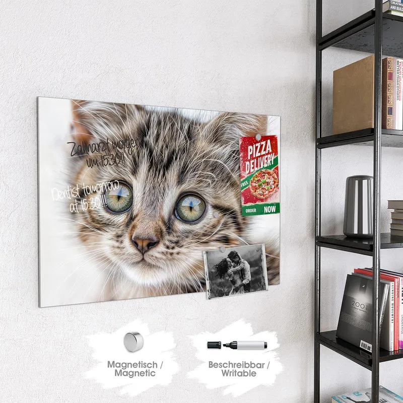 Magnettafel - Neugieriges Katzenjunges