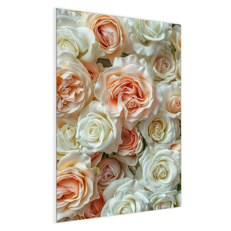 Magnettafel - Cremeweiße Rosen