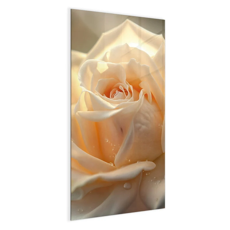 Magnettafel - Rose mit Wassertropfen